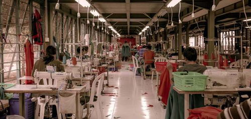 銷(xiāo)售新紀(jì)元 瓴羊如何破局“數(shù)據(jù)孤島”與“系統(tǒng)林立”之困